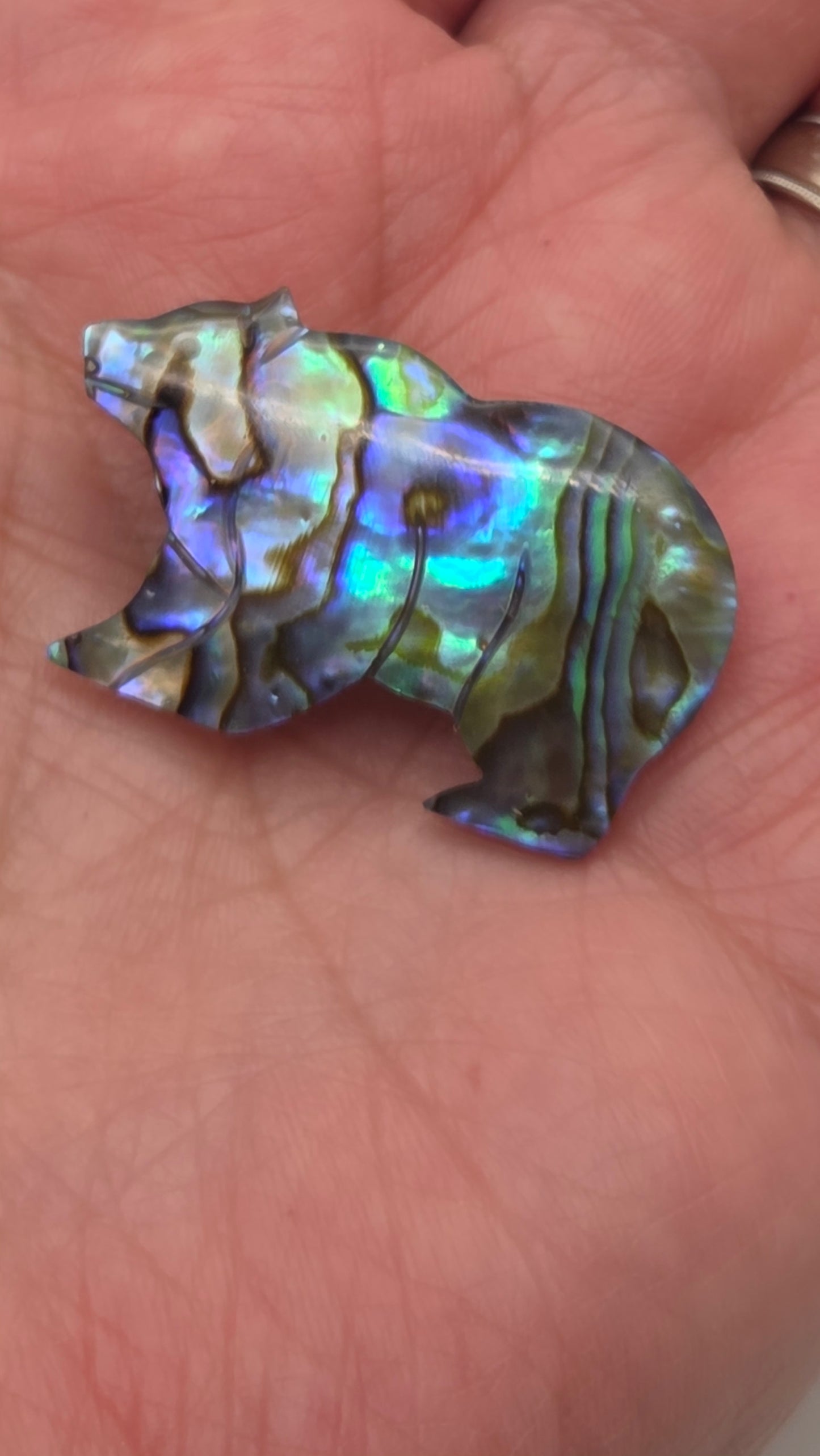 Vintage Canadian Abalone Shell Polar Bear Pin